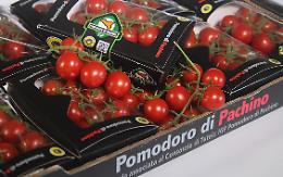 Nell'insalata di McDonald’s il pomodoro Igp di Pachino