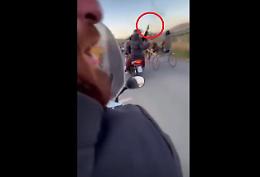 Catania, corsa clandestina di cavalli e colpi di pistola: la denuncia dell'animalista Rizzi