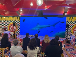 La Regione Siciliana punta sulla biodiversit&agrave; e la tutela del Mediterraneo: il nuovo docufilm di Arpa Sicilia in anteprima a Ortigia