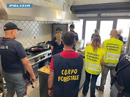 Pesce surgelato di dubbia provenienza in un bar-gastronomia di corso Indipendenza: multa da 26mila euro e sospensione dell'attività
