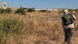 Bracconaggio in Sicilia: il Wwf denuncia il "Far West" della Piana di Gela