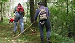 Svolta per i forestali: Dc apre all'aumento delle giornate di garanzia, Uila Sicilia parla di segnale positivo