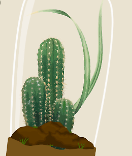 Terrario in vetro: costruisci il tuo piccolo ecosistema all'Orto Botanico di Catania