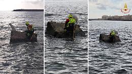 Un altro cagnolino  salvato dai vigili del fuoco in mezzo al mare: stavolta è successo a Siracusa