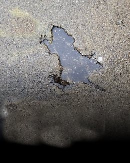 La "rat hole di Chicago non &egrave; un super- ratto ma (forse) uno scoiattolo sfortunato 