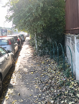 Ratti e bici abbandonate: emergenza igienico‑sanitaria in viale Regione Siciliana, angolo via Evangelista di Blasi