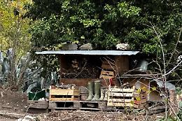 Famiglia nel bosco, &egrave; arrivata l'ordinanza del Tribunale sui bambini: ecco cosa &egrave; stato deciso