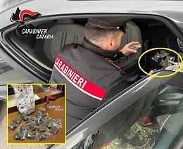 Droga negli slip, arrestato dai carabinieri a Catania 