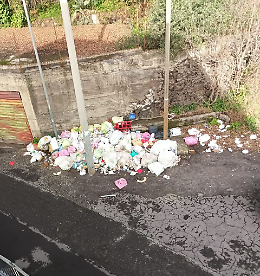 Discarica a cielo aperto in via Torricelli: emergenza igienico‑sanitaria e rischio ratti a Mascalucia (CT)