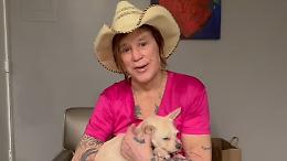  Mickey Rourke sconfessa la raccolta fondi in suo favore: &laquo;Non ho bisogno di carit&agrave;&raquo; VD