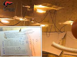 A Marsala il "brogliaccio" per la serra indoor di cannabis: in un garage la coltivazione, due arrestati