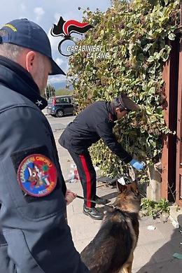 Spaccio  con "delivery" previa ordinazione: denunciati due catanesi