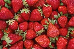 Le sagre in Sicilia del weekend: dalla fragola al pesce, dal gelato originale al wine fest 