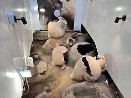 Gela, la necropoli via di Bartolo necessita di interventi a tutela dei suoi reperti