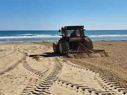 Stop alle ruspe sulle spiagge: &laquo;Rischio per dune e specie protette&raquo;
