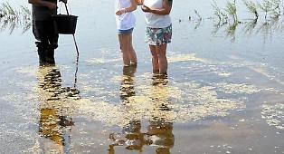 Lago di Pergusa promosso per la qualit&agrave; dell'acqua, ma Legambiente avverte: "Serve un piano d'emergenza"