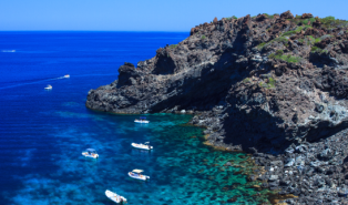 Pantelleria, torna "il fantasma del passato": trovata la presenza di un animale, &egrave; l'unica presenza in Europa