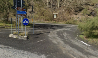 Zafferana, escursionista accerchiato da un branco di 10 cani: bloccato per ore, salvato dalla Forestale