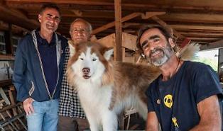 Aci Castello, la Regione finanzia il cantiere storico dei Rodolico