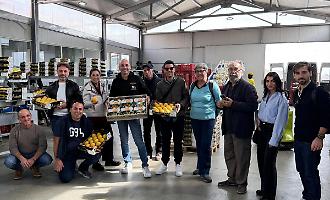 Nuovi canali di esportazione per la pesca Igp di Leonforte