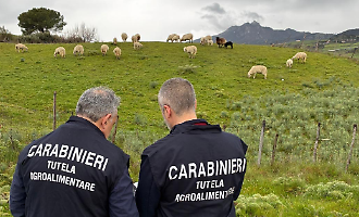 Truffa sui contributi Agea per il pascolo: sequestrati beni per 1,4 milioni a dieci imprenditori fra Enna e Messina
