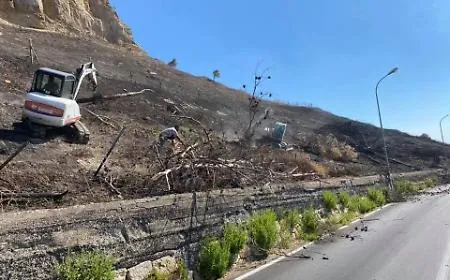 Enna, nasce "Il Bosco Solidale di Janniscuro": pronto un piano per la rigenerazione e la forestazione