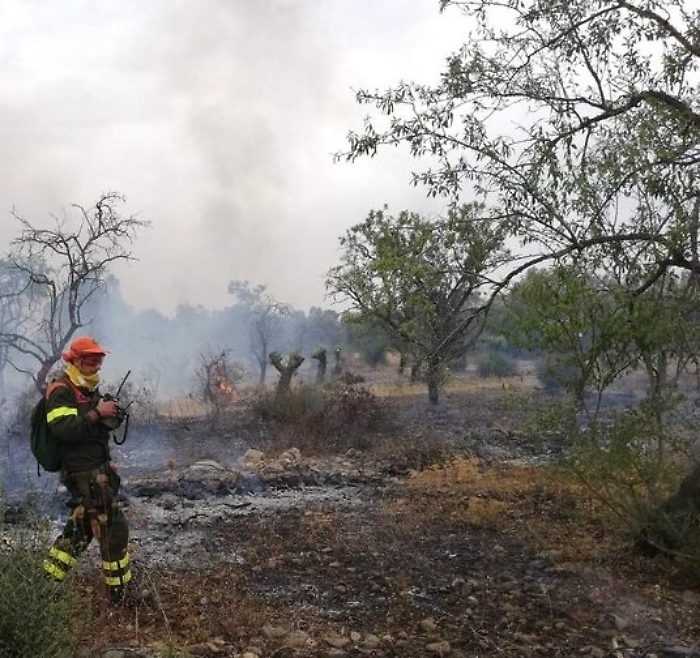 Pi&ugrave; ore di lavoro per 16 mila forestali in Sicilia, l'Ars approva la norma