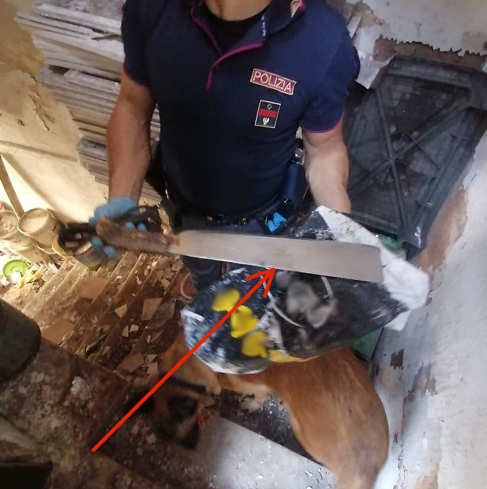 Max blitz della Polizia da San Berillo al Faro Biscari: sanzioni a due attività commerciali e un machete sequestrato