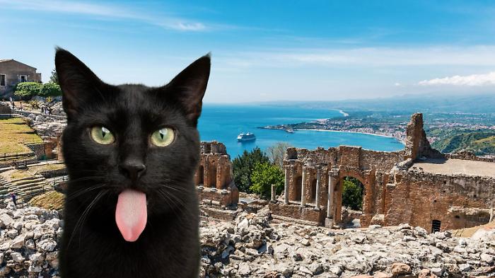 La leggenda di Micio, il gatto nero di Taormina protettore della città 