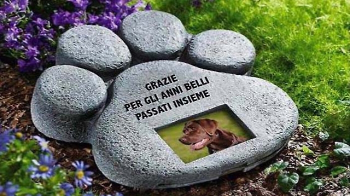 Dove il legame non finisce: ad Aci Castello un cimitero per gli animali d'affezione 