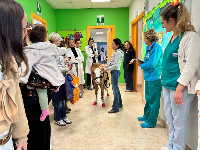 Festivit&agrave; e sorrisi all'ospedale Cervello: un pony vestito da Babbo Natale per distribuire doni ai bambini