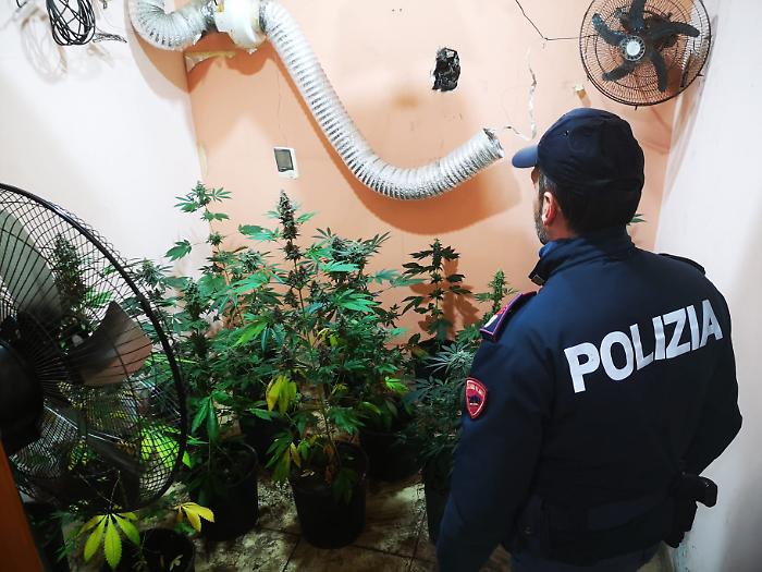 Adrano, la serra nascosta nel cuore della citt&agrave;: arrestato 61enne per coltivazione indoor di marijuana