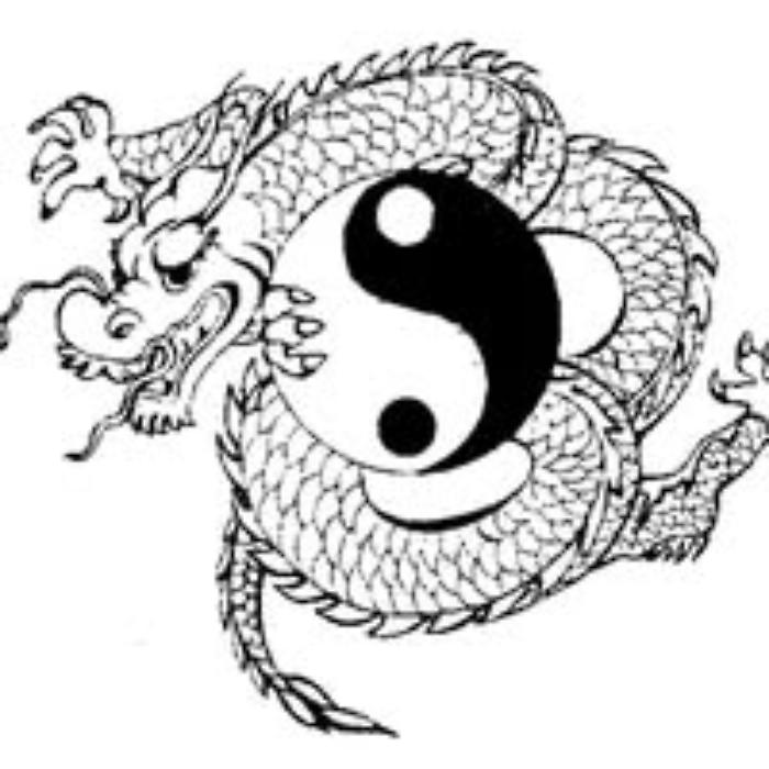 I love Tai Chi Chuan