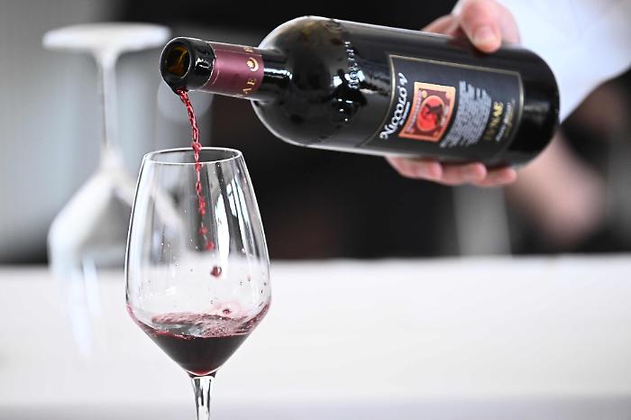 Agricoltori vs esportatori: la voce dei territori sul Mercosur