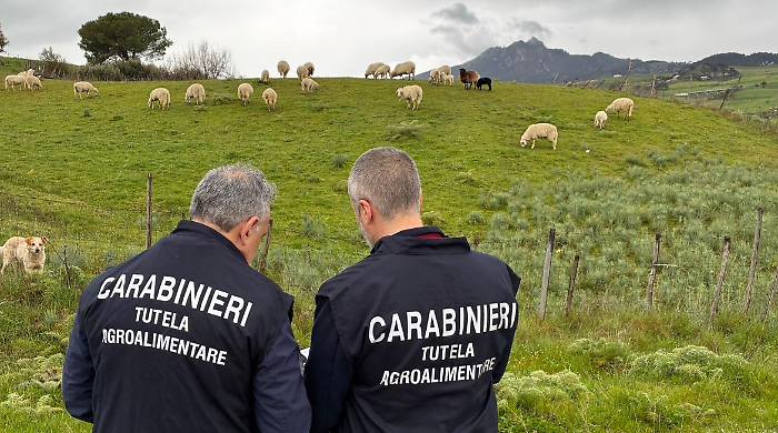 Truffa sui contributi Agea per il pascolo: sequestrati beni per 1,4 milioni a dieci imprenditori fra Enna e Messina