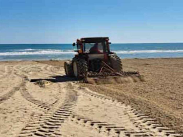 Stop alle ruspe sulle spiagge: &laquo;Rischio per dune e specie protette&raquo;